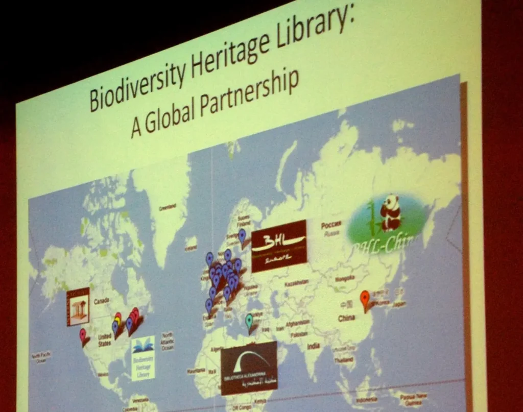 A presentation slide showing the world map and titled "Biodiversity Heritage Library: A Global Partnership"