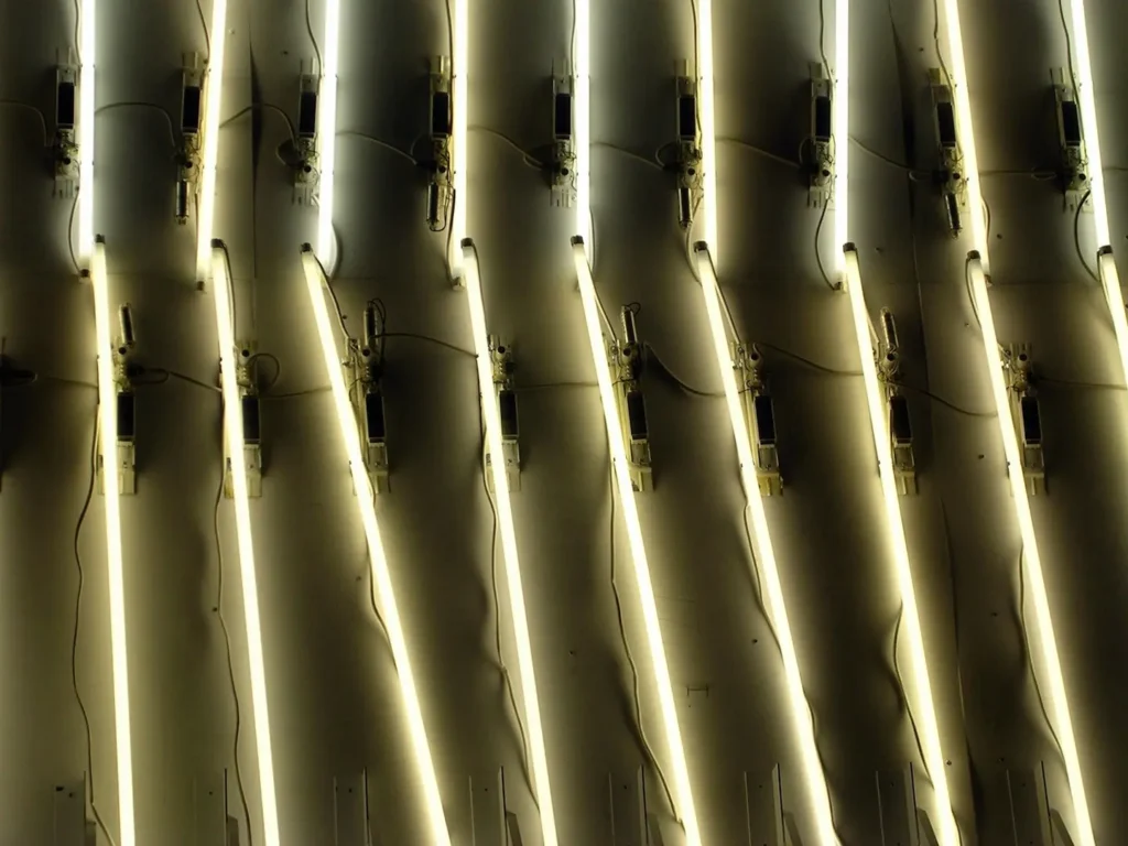 Illuminated neon tubes as a trade show lighting idea.